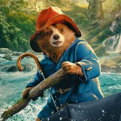 Paddington în Peru